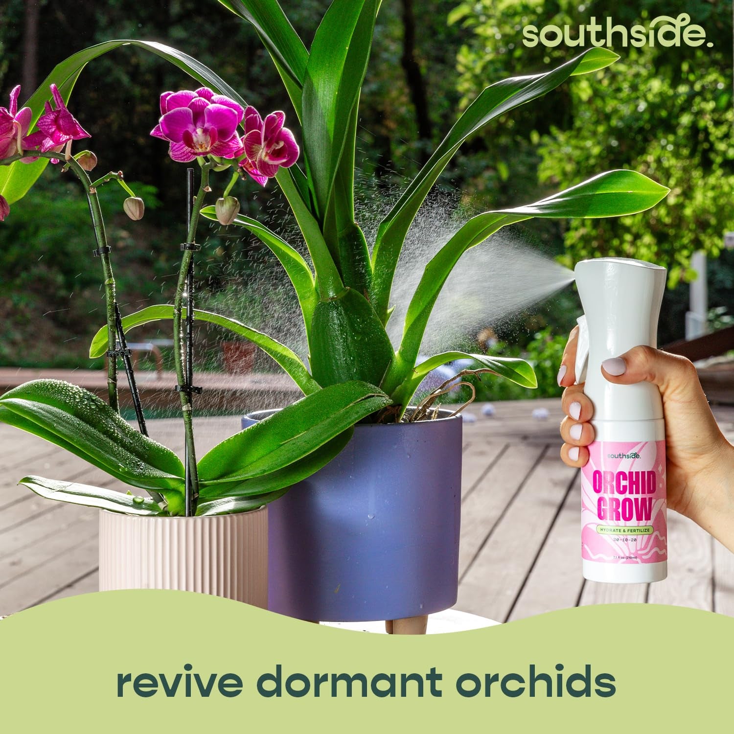 Orchid Bloom Fertilizer by Southside - 16 Oz - Encourage Blooms with Precise Nutrition & Humidity - Gentle Formula, Premium Continuous Spray for Easy Coverage
