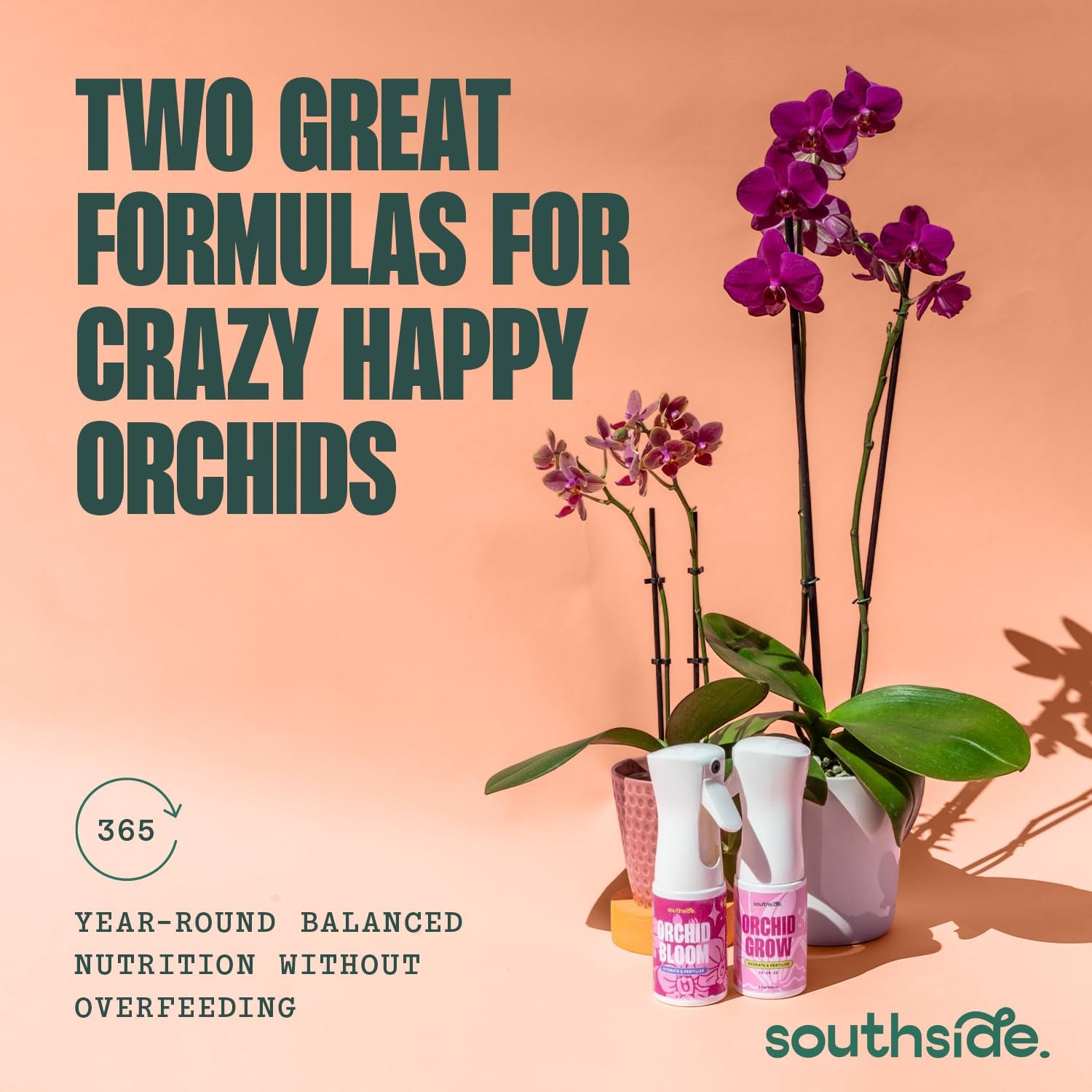 Orchid Bloom Fertilizer by Southside - 16 Oz - Encourage Blooms with Precise Nutrition & Humidity - Gentle Formula, Premium Continuous Spray for Easy Coverage