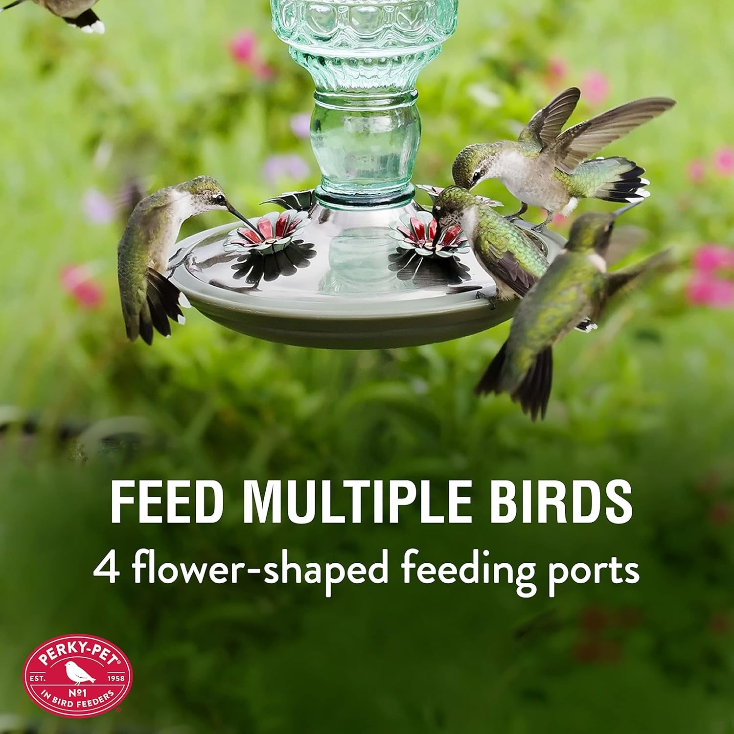 Glass Hummingbird Feeders for Outdoors - Antique Bottle Style Bird Feeder - 10 Oz Humming Bird Feeders for Outdoor Garden Decor