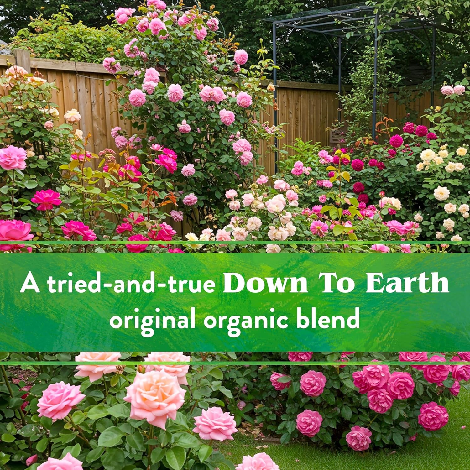 Rose & Flower Mix 4-8-4, 5 Lb Box Organic Plant Food for Roses, Bulbs, Flowers and Ornamentals