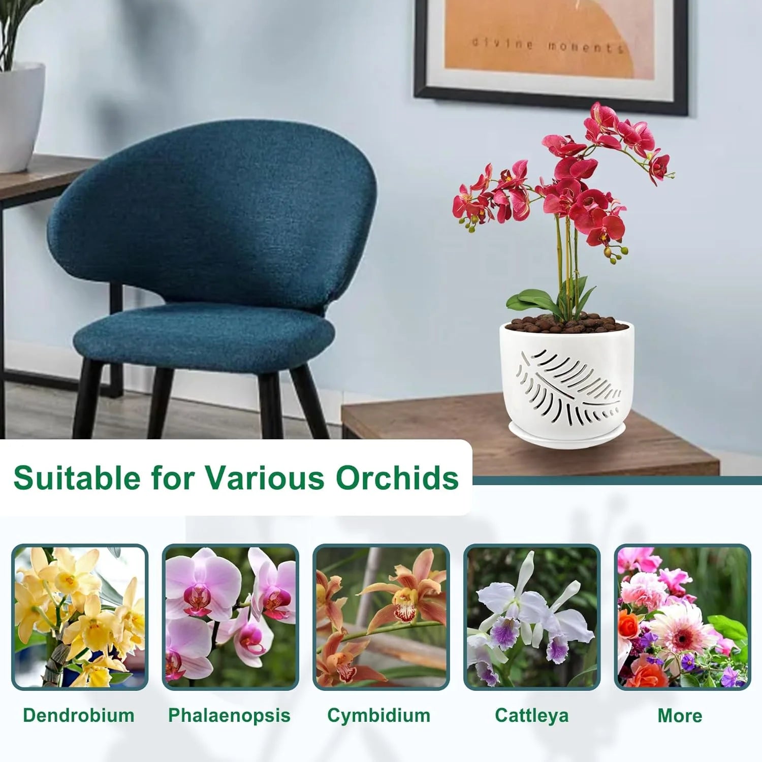 Ceramic Orchid Pots, 6+5 Inch Orchid Pots with Holes,Orchid Pots for Repotting,Healthy Air Circulation Plant Pots for Plant Lovers,Planters for Indoor/Outdoor Plants -2 Pack